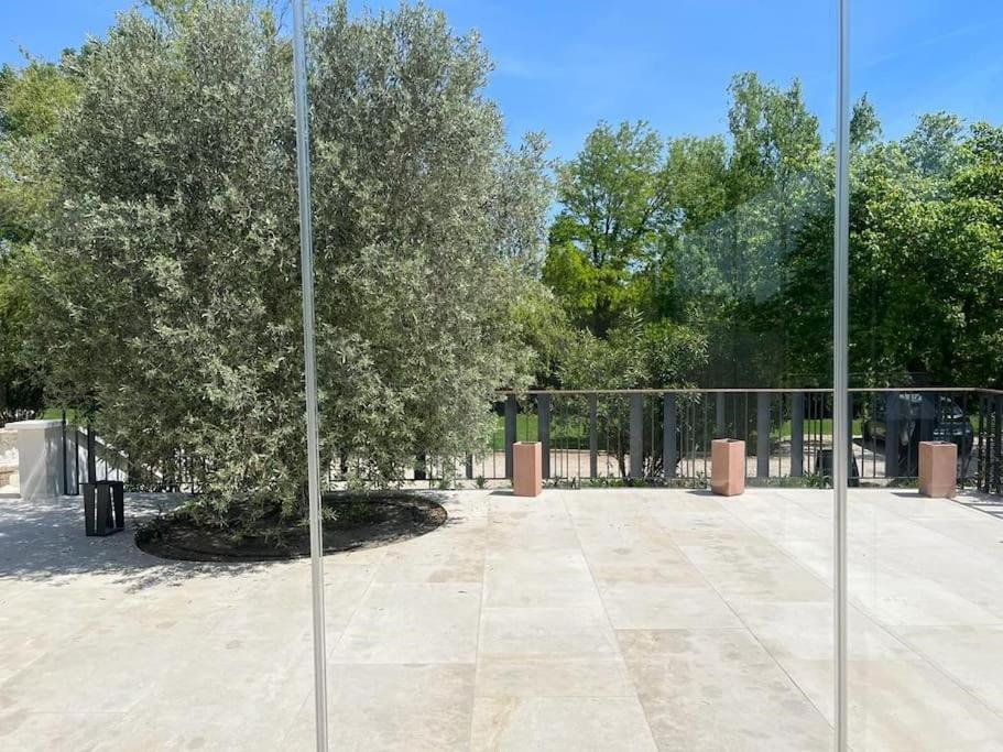 Des Jacinthes Tarascon