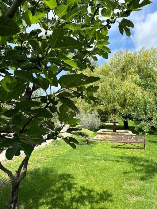 Des Jacinthes Holiday home