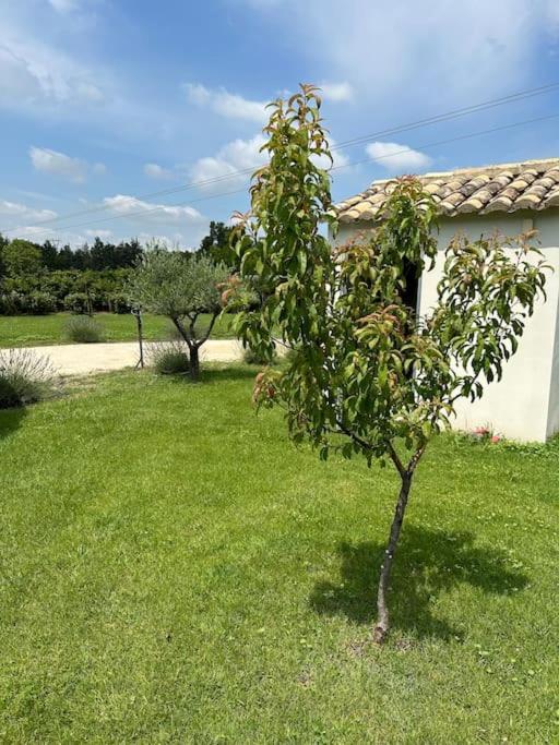 Des Jacinthes Holiday home